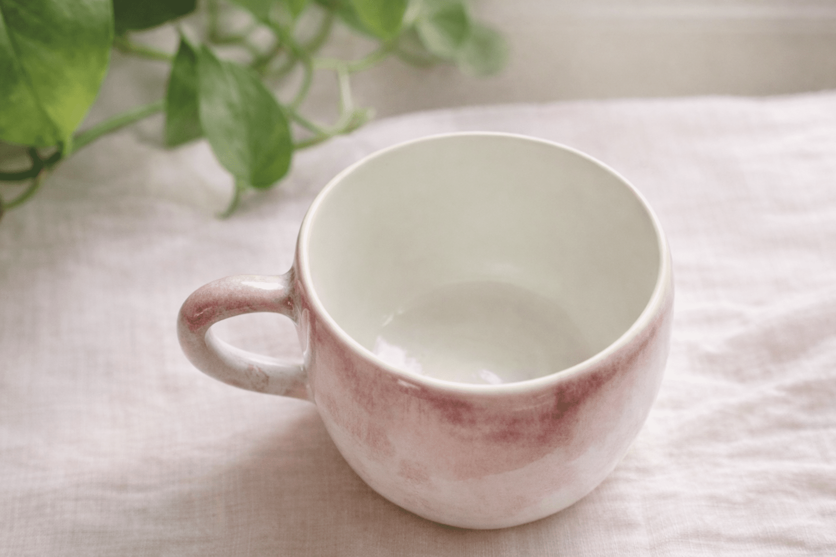 Taza porcelana - 2