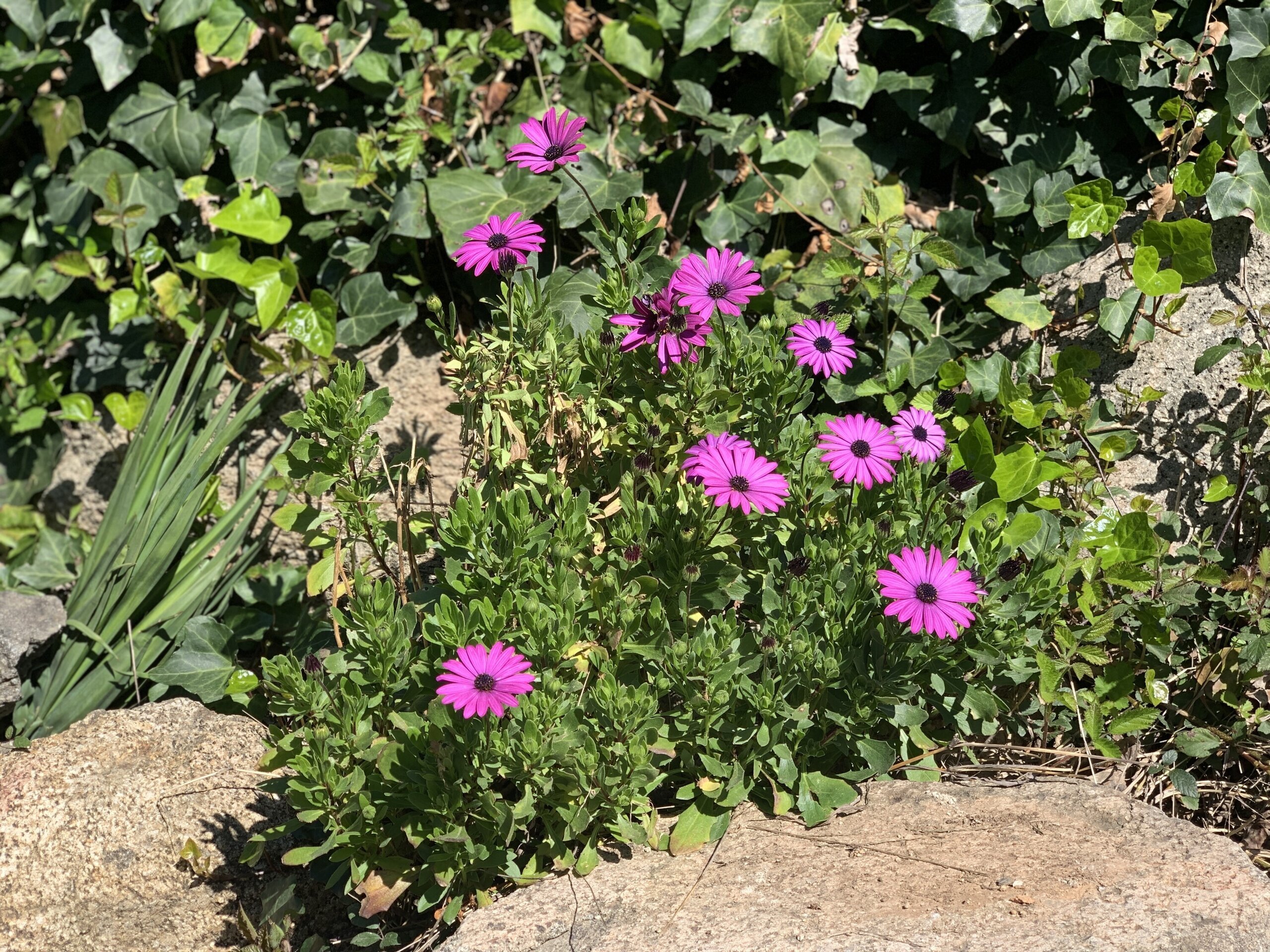 Viernes de cerámica con amigos - 7